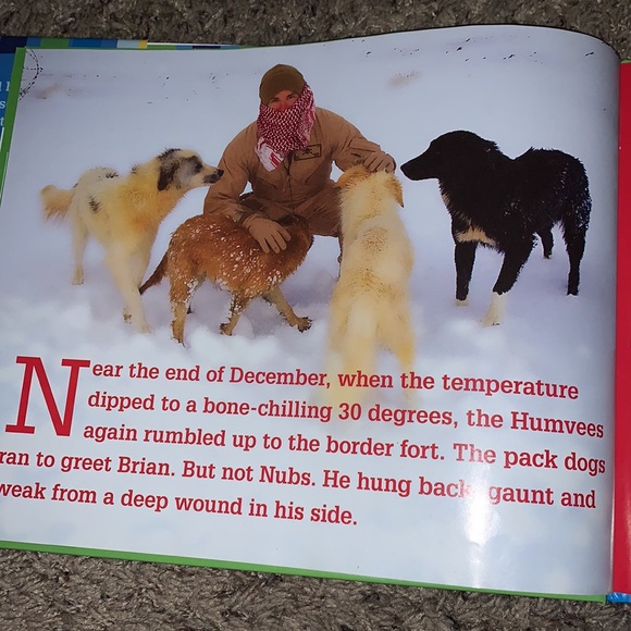 NUBS The True Story of a Mutt, Marine & a Miracle - Picture 6 of 10